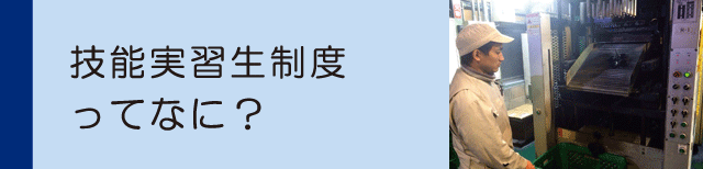 技能実習生制度ってなに？