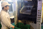 技能実習生イメージ